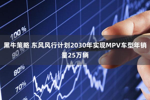 黑牛策略 东风风行计划2030年实现MPV车型年销量25万辆
