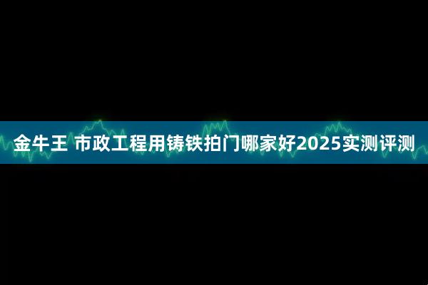 金牛王 市政工程用铸铁拍门哪家好2025实测评测