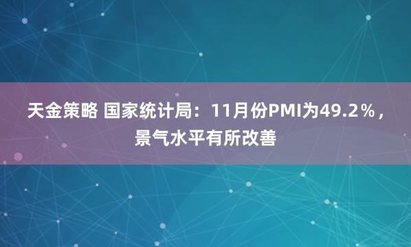 天金策略 国家统计局：11月份PMI为49.2％，景气水平有所改善